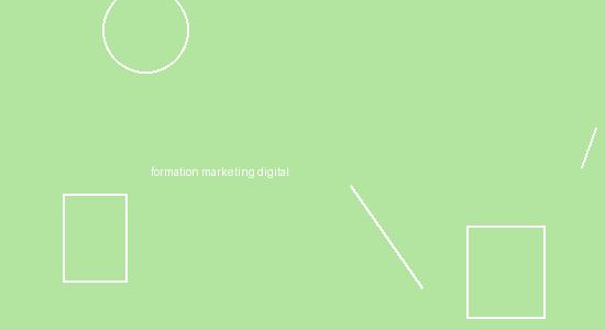 Guide du Marketing Digital