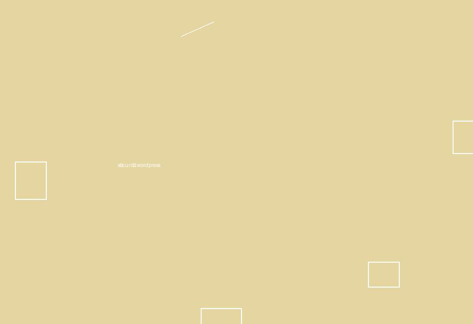 sécurité wordpress