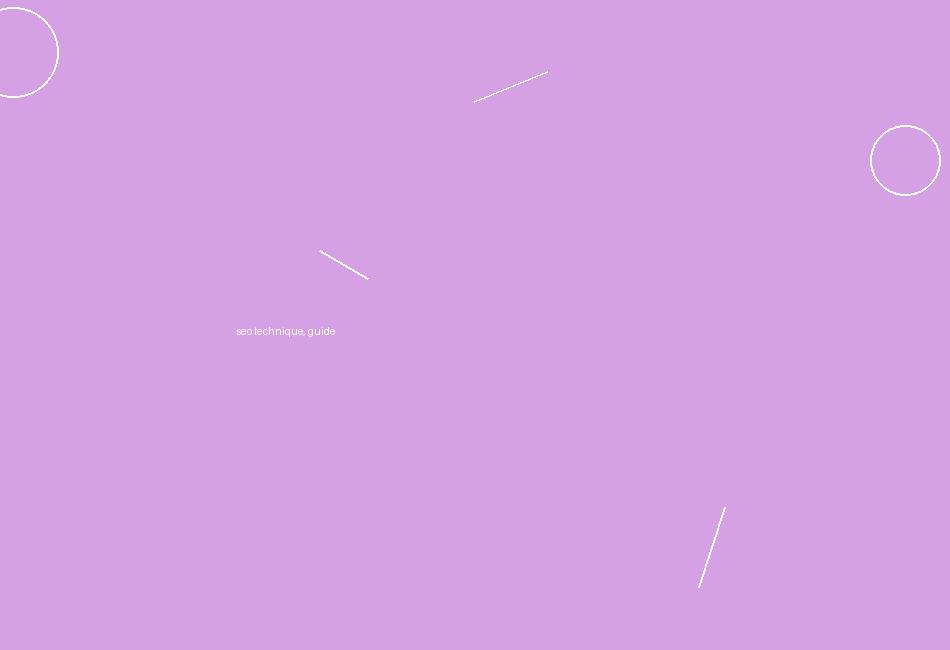 seo technique, guide