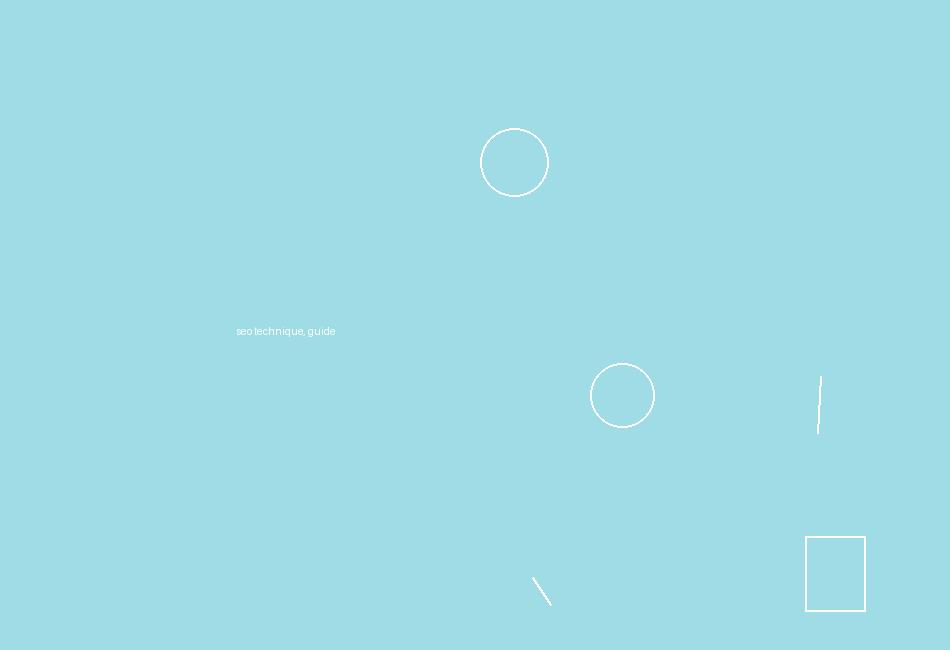 seo technique, guide