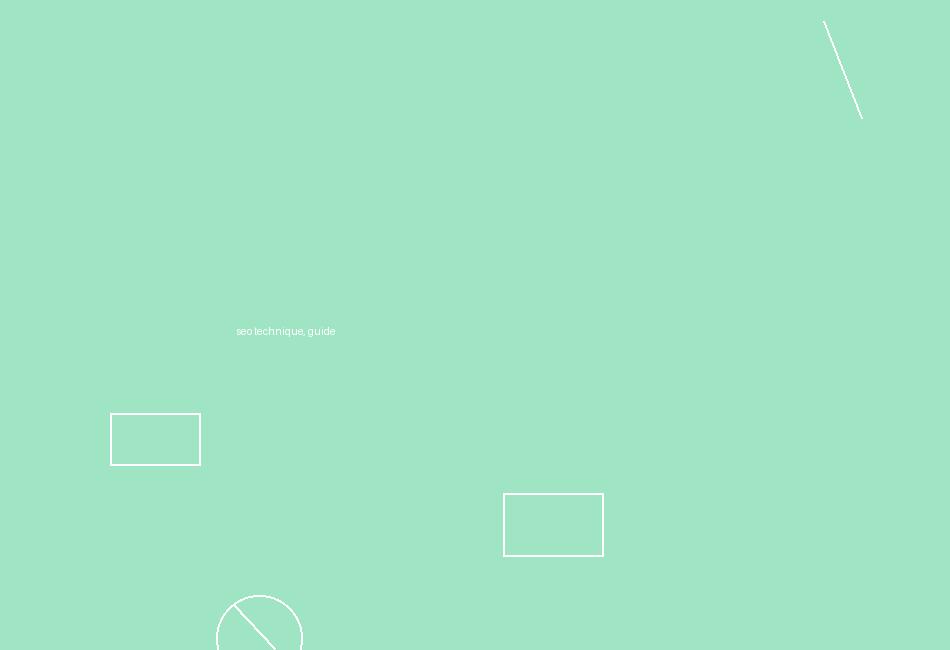 seo technique, guide